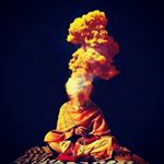 Profile Picture of Mike Crowe (@mike_crowe_seedery) on Instagram