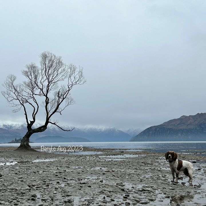 Profile Picture of beryl_mng26 (@beryl_mng26) on Tiktok