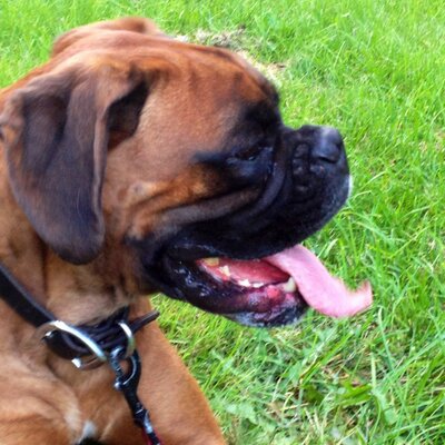 Profile Picture of Keith O'Neill (@KeithONeill11) on Twitter