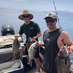 Profile Picture of Connor Williams (@connor.williams123) on Instagram