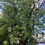 Profile Picture of Marcin Stopka-Faktor (@marcinstopkafaktor) on Instagram