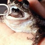 Profile Picture of colin crowley (@colincrowley_epic) on Instagram