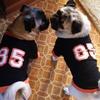 Profile Picture of Joy Coppock (@@joycoppock) on Tiktok