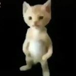 Profile Picture of Tomas Ceballos (@elsopaipleto1745) on Instagram