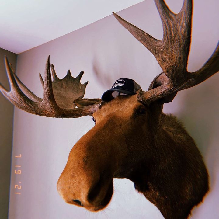 Profile Picture of Devin McCurry (@devin55m) on Tiktok