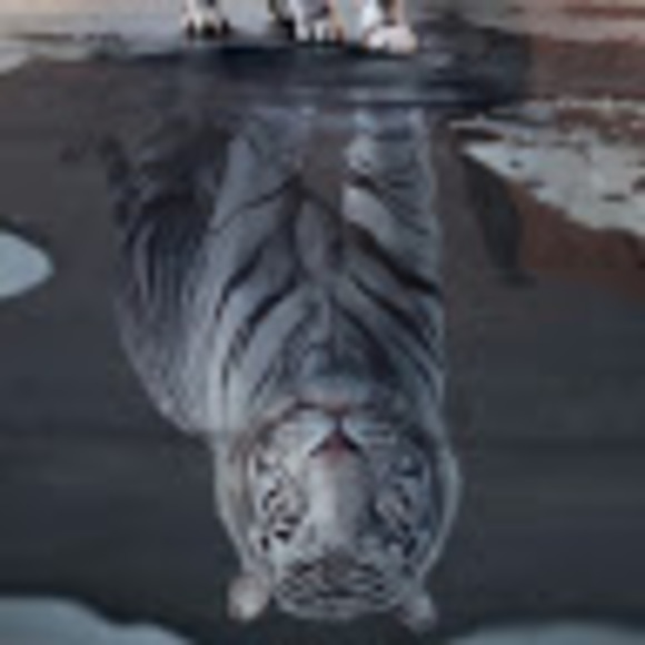 Profile Picture of Justin Graber (@nier_lemonde) on Poshmark