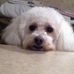 Profile Picture of Ron Coyle (@ron.coyle.12) on Facebook