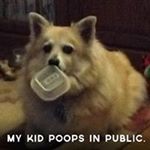 Brandy Cromwell - Instagram Profile Picture of Brandy Cromwell (@brandycromwell) on Instagram