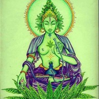 Profile Picture of Dan Hamm (@dan-hamm-12) on Quora