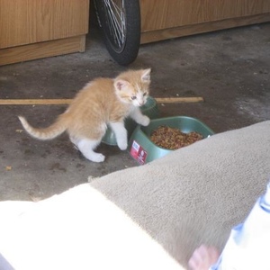 Profile Picture of Luis Alamillo (@la_and_dc) on Myspace