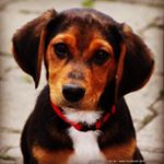 Profile Picture of Ben Weber (@benweber79) on Instagram