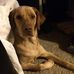 Profile Picture of Don Burcham (@Don-Burcham) on Facebook