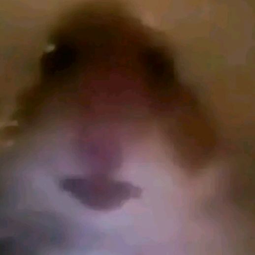 Profile Picture of Mateus Costa (@tcp_mateus) on Tiktok