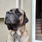 Profile Picture of Kyle Stambaugh (@kyle.wayne.1985) on Instagram