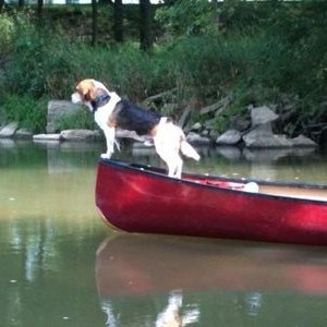 Profile Picture of David James Isenhour (@iniker7) on Twitter