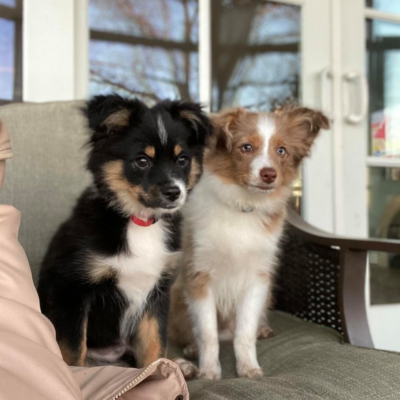 Profile Picture of Eddye Shifflett-leach (@eddyesue) on Poshmark