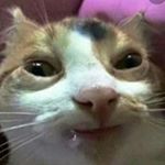 Profile Picture of dorian (@dorshgins_daily_memes) on Instagram