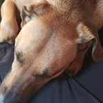 gianna barone - Instagram Profile Picture of gianna barone (@barone6989) on Instagram