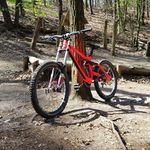 Profile Picture of Álex Reichmann (@mtbalexx) on Instagram