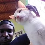 Daniel Labinjo - Instagram Profile Picture of Daniel Labinjo (@labinjo97) on Instagram