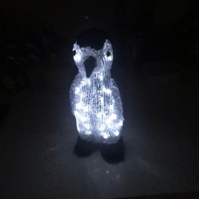 Profile Picture of Joseph Sean Warhurst (@WarhurstSean) on Twitter