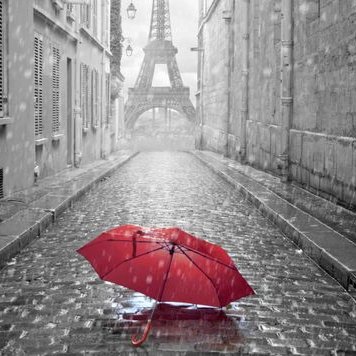 Profile Picture of Lupe Tamayo (@Elisis333) on Twitter