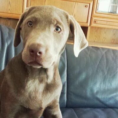 Profile Picture of Shirley Hirt-Jordan (@HirtShirley) on Twitter