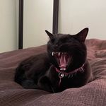 Profile Picture of Tatum Seastrand (@tatumseastrand) on Instagram