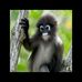 Profile Picture of Kick Joseph (@kick.joseph.3) on Facebook
