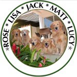 Profile Picture of 🐶Lucy🐶Rose🐶Jack🐶Matt🐶Hannah (@lifewithgolden) on Instagram