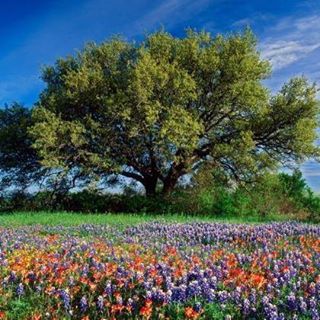 Profile Picture of Audrey Barkowski (@Audrey-Barkowski) on Facebook