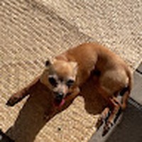 Profile Picture of Julia Saavedra (@julia-saavedra-9) on Quora