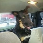 Profile Picture of Michael Cottengim (@michaelcottengim) on Instagram