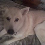 Profile Picture of Chuck Boyd (@chuck.boyd.75685) on Instagram