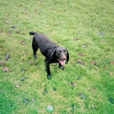 Profile Picture of Jim Odonnell (@jimod1234) on Twitter