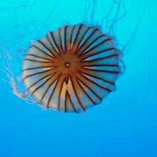 Profile Picture of James Termini (@terminijames) on Twitter