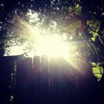 Profile Picture of Alexander (@ashworth1994) on Instagram