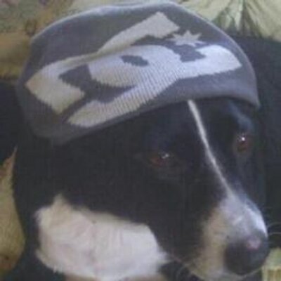 Profile Picture of Mike Scheck (@mikescheck1) on Twitter