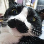 Profile Picture of 김양 (@kmy1804) on Instagram