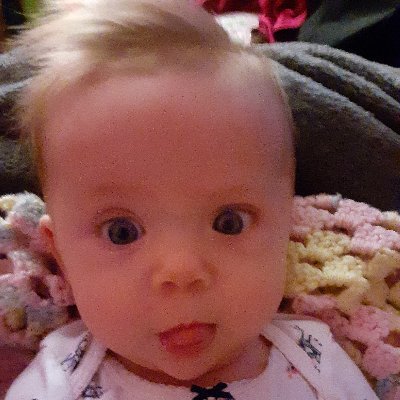 Profile Picture of Steve Gibney (@GibneySteve) on Twitter
