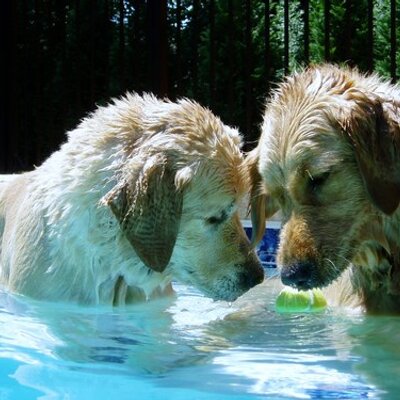 Profile Picture of Mitch Herman (@RealHerminator) on Twitter