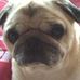 Profile Picture of Robin Fiedler (@robin.fiedler.1238) on Facebook