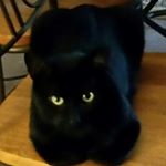 Profile Picture of Cheryl Yash (@sherrychubb62) on Instagram