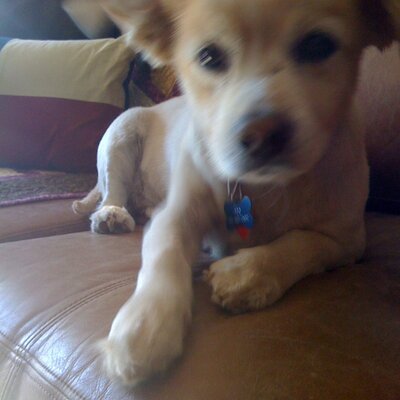 Profile Picture of Scott Ferris (@sdferris) on Twitter