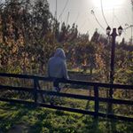Profile Picture of lluyo (@benjamin.rubio_) on Instagram
