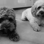 Profile Picture of Paula Weeks (@paula.weeks.56) on Instagram