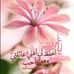 Profile Picture of Eman Mohammed Eltawil (@eman.eltawil) on Facebook
