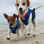 Profile Picture of Michael Dahmen (@dahmenmichael) on Instagram