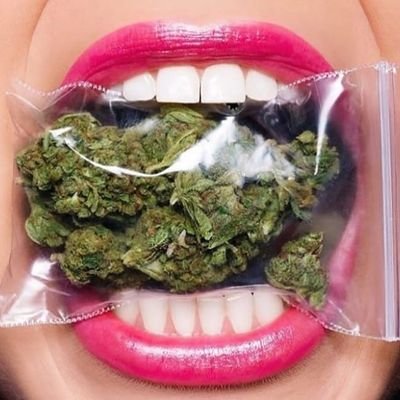 Profile Picture of William Torré (@WilliamTorr4) on Twitter