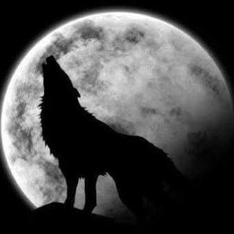 Profile Picture of Axel David (@Axeldavid89) on Twitter